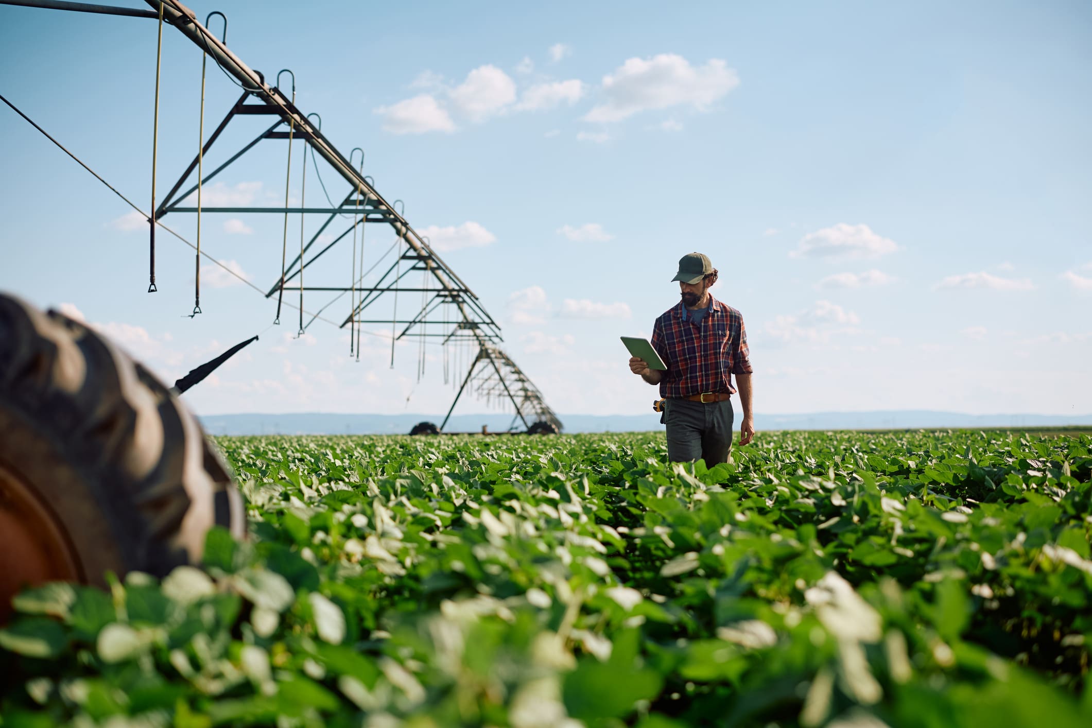 A farmer inspecting crops in a green field under a blue sky.